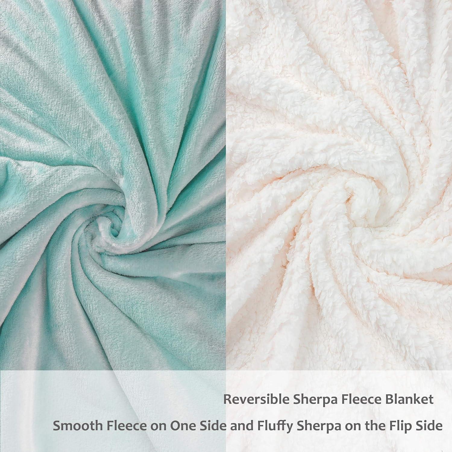imageCatalonia Sherpa Fleece Throw Blanket Super Soft Mink Plush Couch Blanket TV Bed Fuzzy Blanket Fluffy Comfy Warm Heavy Throws Comfort Caring Gift50x60 inches Wine RedTeal